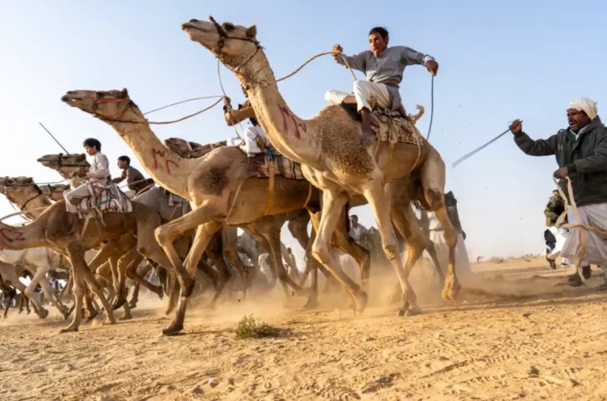 11位球星的“离谱”爱好，C罗的爱玩宾果游戏。